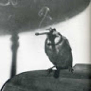 Meet your Posher, Carla